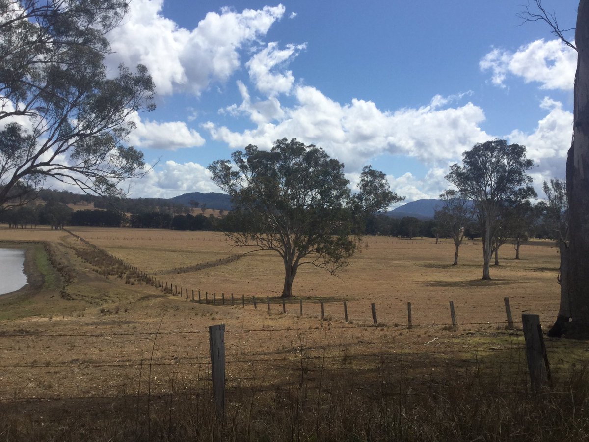 Jen Cooper (@jenc_designs) on Twitter photo 