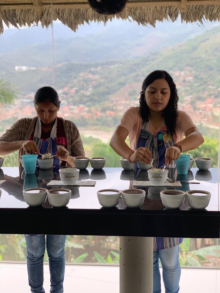 MonasteryCoffee's tweet photo. Some photos from Fleur's (@melbcoffeemerch) recent sourcing trip to Bolivia. As you know Bolivia is close to our heart <3
--
#coffee #bolivia #adelaide #specialtycoffee #relationshipcoffee #valuechain #sustainable #ethical #slowfood https://t.co/73PgOmofDh
