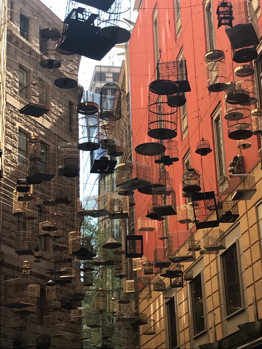 EH_UNSW's tweet photo. #ForgottonSongs installation. #TankStream tour. https://t.co/SF2TdDGEnJ