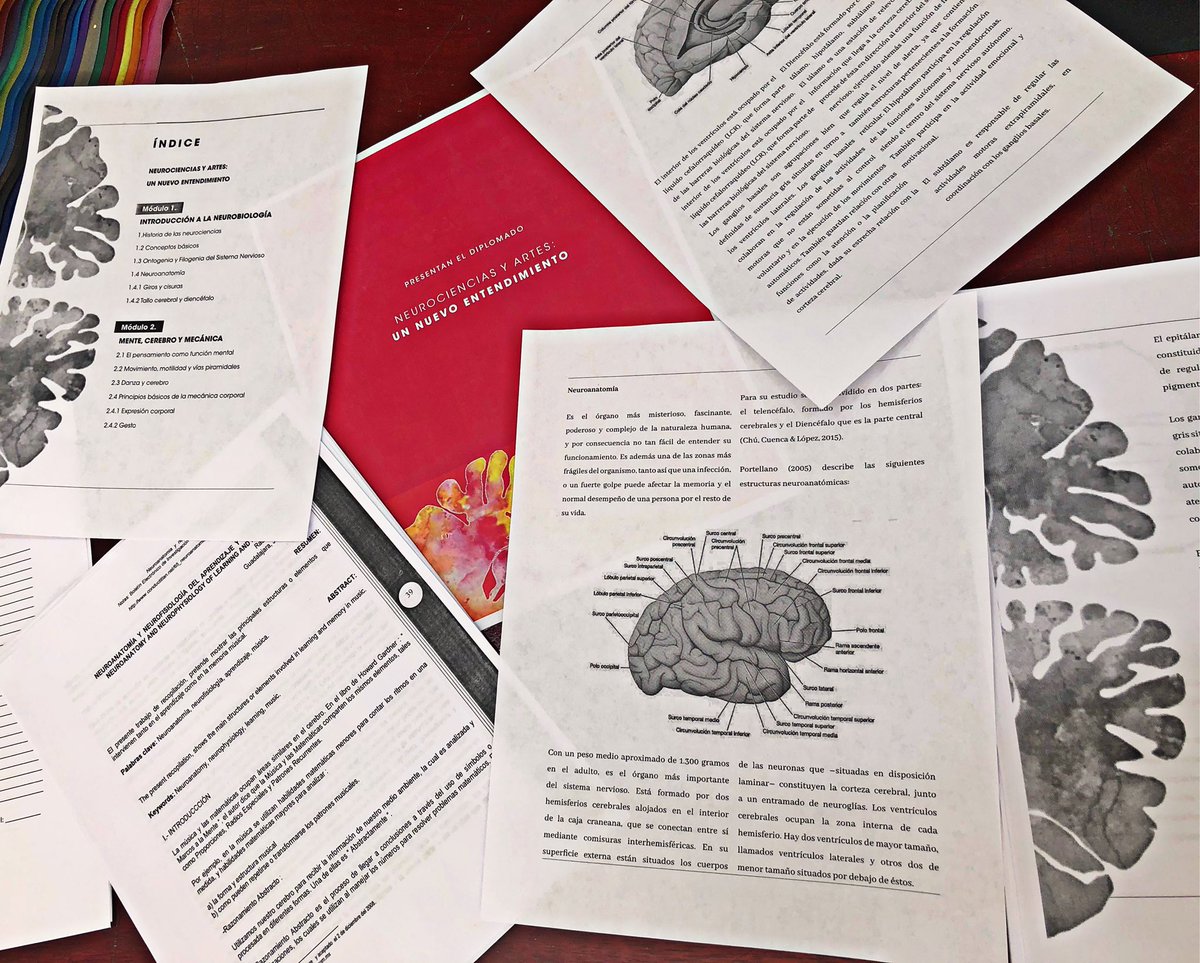 julietaconversa's tweet photo. Mientras más estudio al Ser humano más me sorprendo de nuestra capacidad ✨😃 #Diplomado #Neurociencias #Neurobiología #Arte #Intervención #Evolución #Transformación #JulietaEnriquez #ModoEstudiante https://t.co/hEMB96qHCG