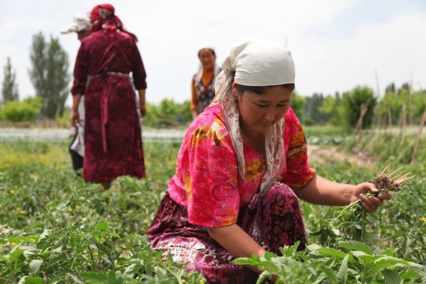 Xunk hunkni sikadi Yigitning xolasi haqida onlayn porno video