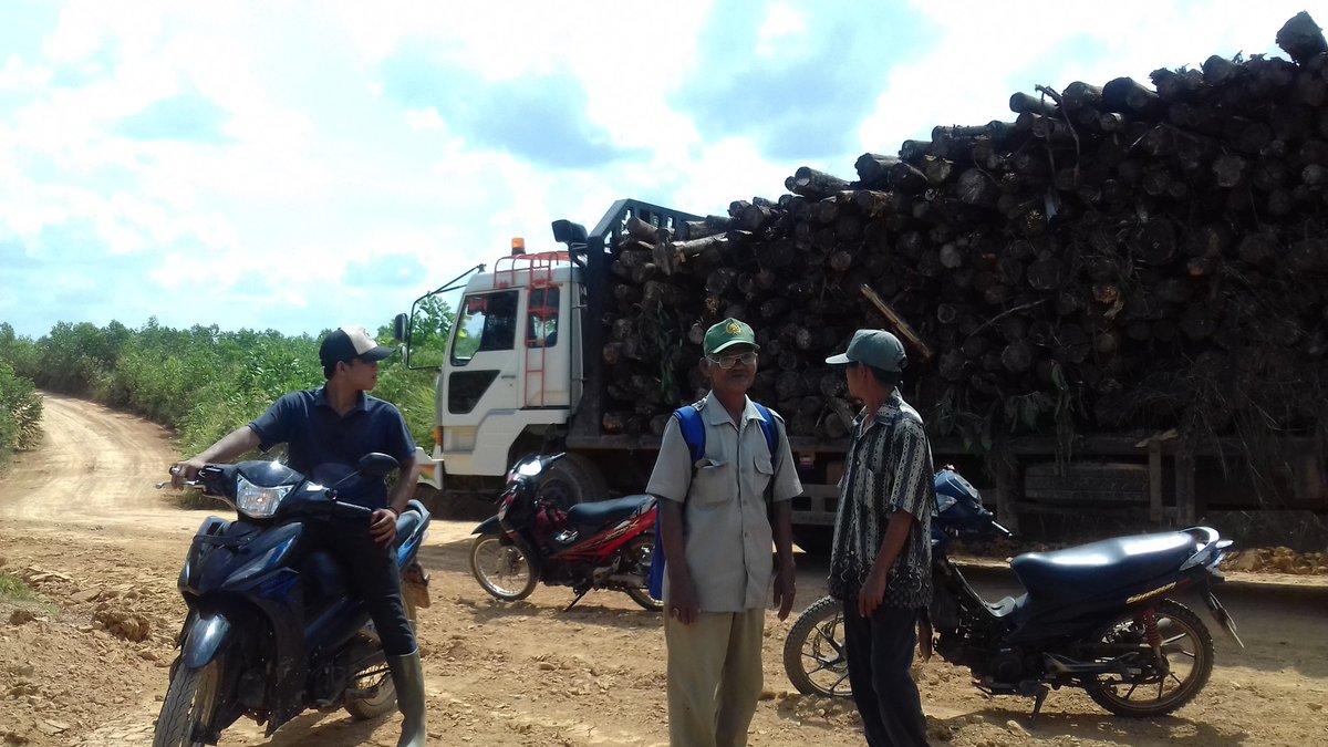 Darto_View's tweet image. Hutan ku gersang tergusur eucalyptus.
Tanah kelahiran ku tak bs kutanami sayur mayur.
Asap kebakaran menyelimuti awan.
Ooh MHP.
Tapal batas PT. MHP dgn desa2 d sekitarnya mesti d perjelas biar tdk ad perampasan trhadap lahan msyarakat
@walhinasional 
@SeknasKPA 
@Hutan_Indonesia
