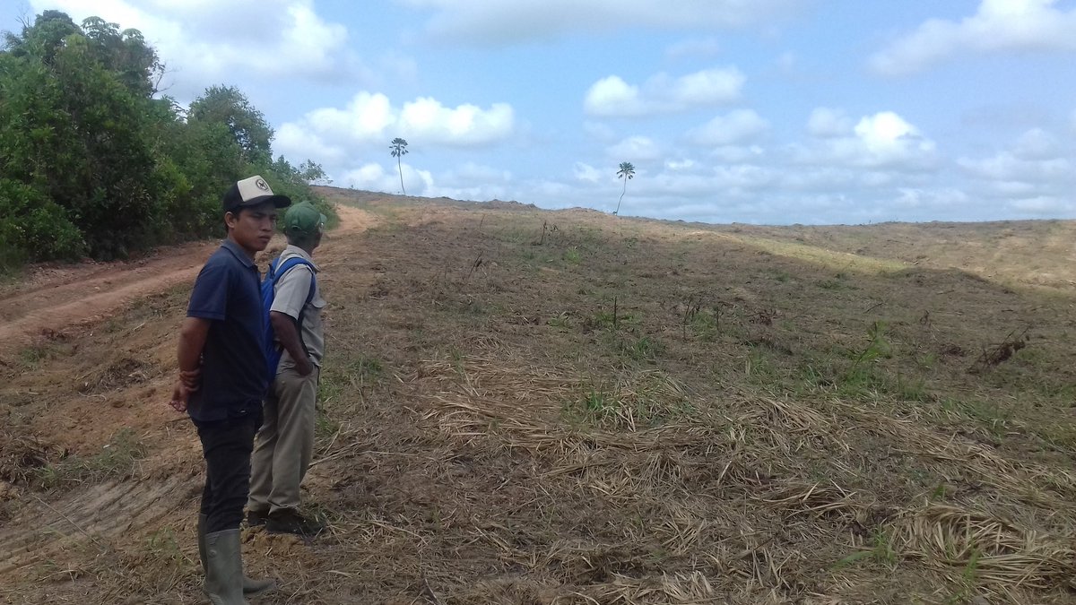 Darto_View's tweet image. Hutan ku gersang tergusur eucalyptus.
Tanah kelahiran ku tak bs kutanami sayur mayur.
Asap kebakaran menyelimuti awan.
Ooh MHP.
Tapal batas PT. MHP dgn desa2 d sekitarnya mesti d perjelas biar tdk ad perampasan trhadap lahan msyarakat
@walhinasional 
@SeknasKPA 
@Hutan_Indonesia