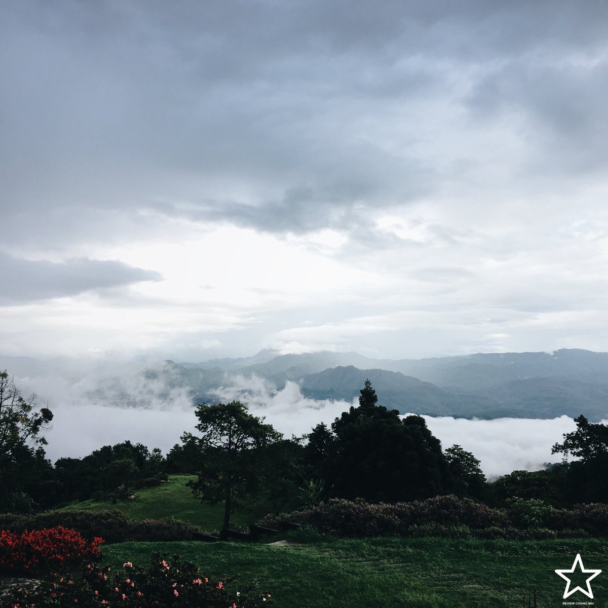 reviewchiangmai tweet picture