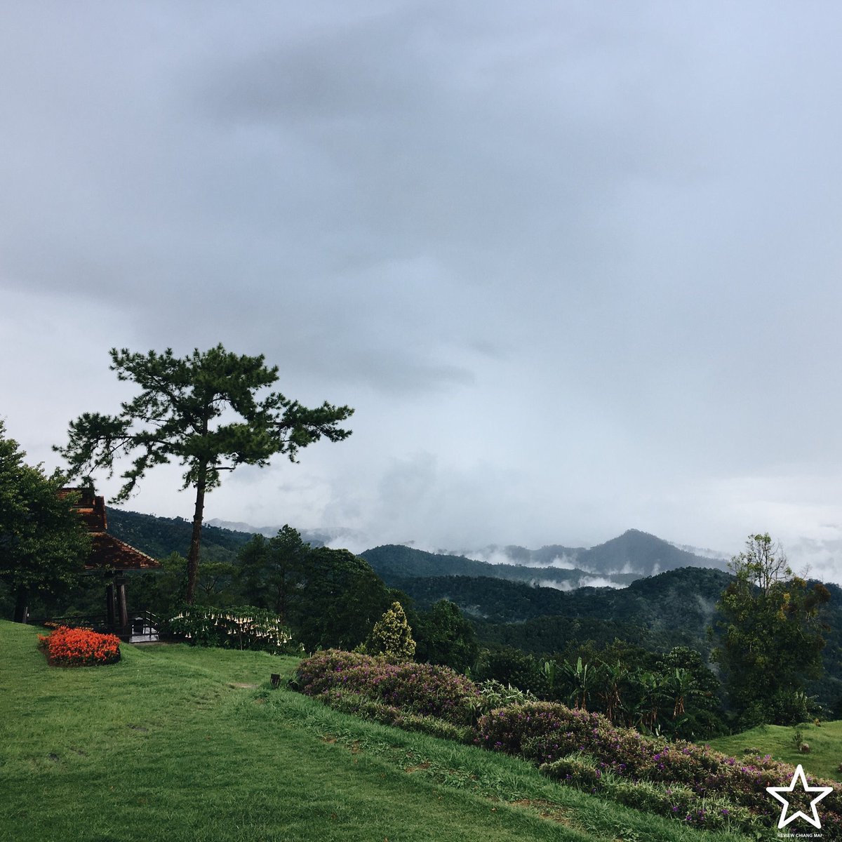 reviewchiangmai tweet picture