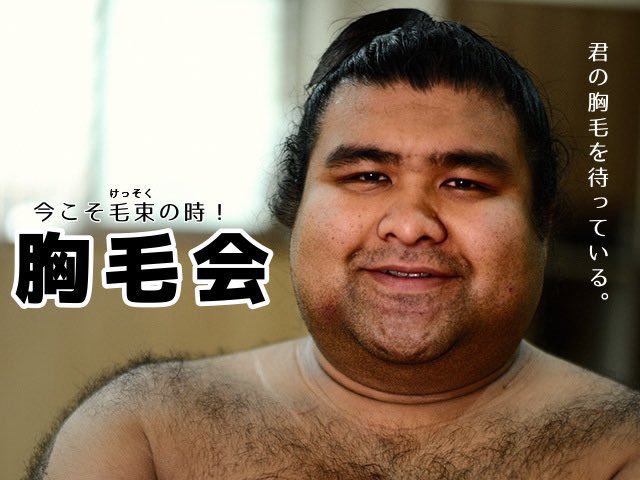 ミル 高安 トレイダーホーンのアンパンマンもどき ラグビー選手 似ていると言われたことのある有名人を晒す