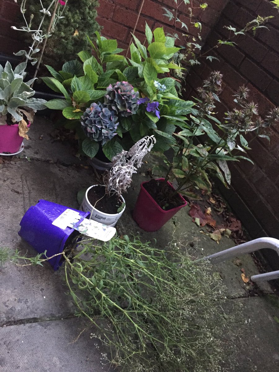 doyle_kevin's tweet photo. Waking to aftermath of storm #Lorenzo. We will rebuild. #TheGreatCleanUp
#PrayforIreland https://t.co/JKLjAFauPS