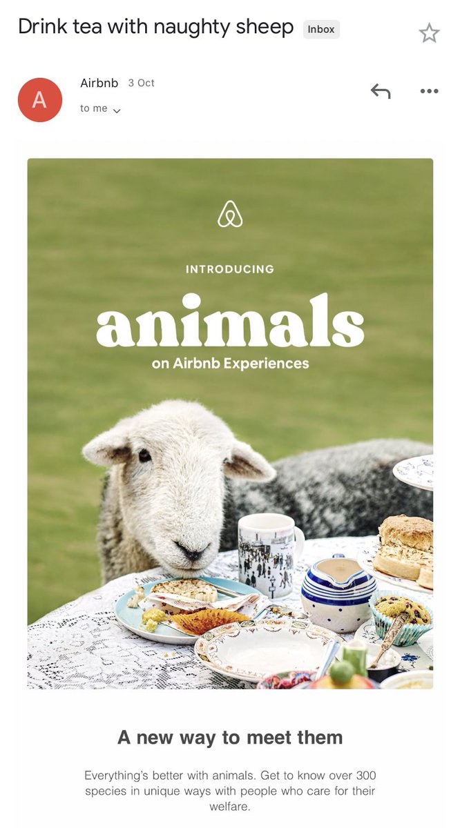 darkestpattern's tweet image. What in the name of...