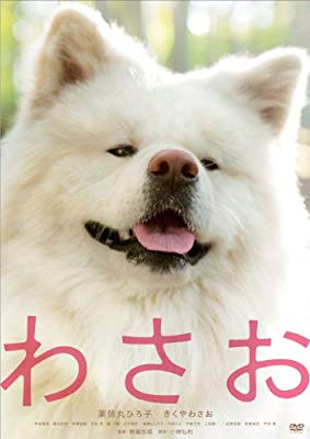 تويتر つめちゃつめを على تويتر １ わさお これは鉄板 ２ イデビアンクルー バーで隣り合った初対面のゲイに素晴らしさを熱弁された ３ ケンコバ 昔もっと髪とヒゲボサボサだったころ 声も似てるらしい ４ ボケテ素材の見知らぬゲイ 横顔の方 本気で自分と