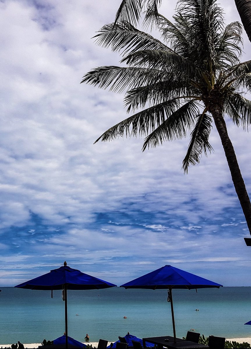 OZOChawengSamui's tweet photo. Start your morning with this stunning view of OZO Chaweng Samui 💙 

📷: Quoc T Ho

#KohSamui #OZOChaweng https://t.co/KX2kcgjisQ