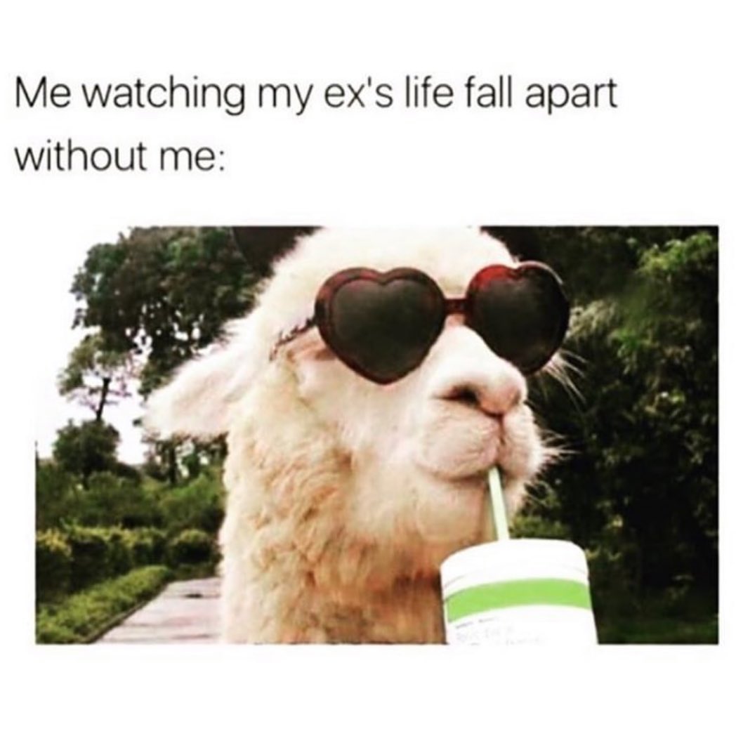 sarak_says's tweet photo. You know you feel this, too. I’m just shameless enough to actually tweet it.🙋🏼😎 #FavoritePastime https://t.co/ZUIH38Dc1K