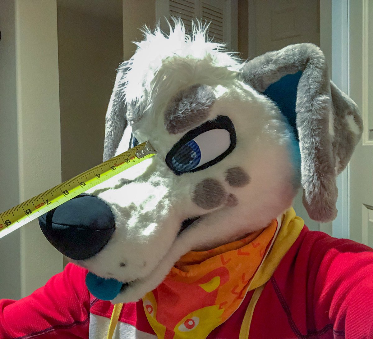 saltmutt's tweet photo. @mmmatches @SchecterWolfe @Kojote_latrans Evenin’ boys <3 https://t.co/LhO03VNUtW