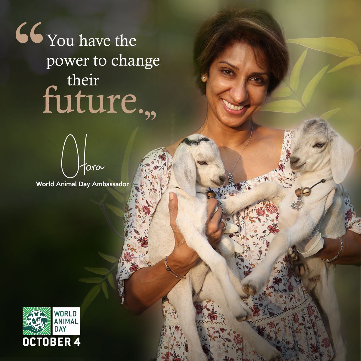 Otara Del Gunewardene on Twitter: Otara Del Gunewardene on Twitter: