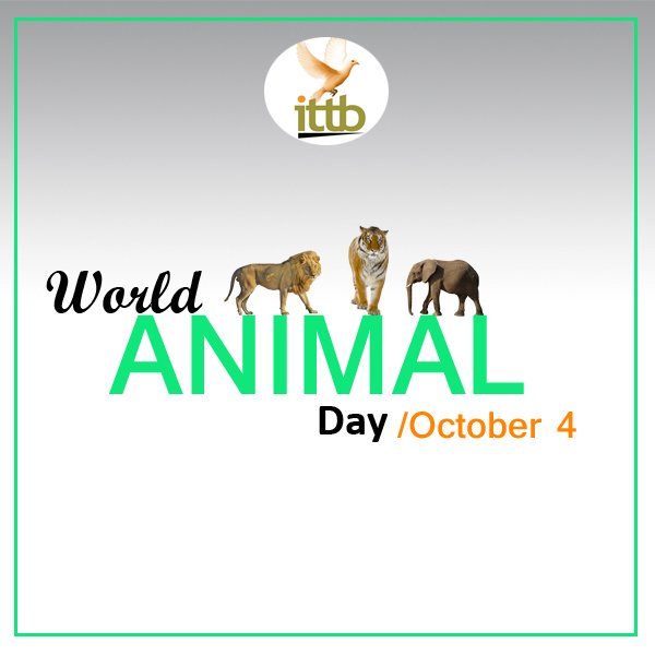 ittbtz's tweet photo. Happy World Animal Day!
To know more information visit our website: https://t.co/BaERR13lTg
.
.
#ittb #animalday #worldanimalday #animalovers #animalove #africananimals #pictureoftheday #love #nature #amazing #bestoftheday #instagood #instagood #animals #naturephotography https://t.co/V8kNdgbCQb