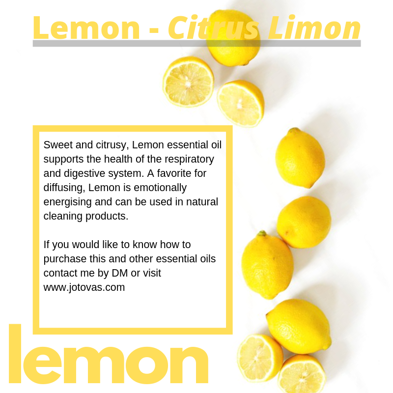 JoTovas's tweet photo. The smell of lemon makes the room feel clean and fresh. Lemon has so many benefits. If you would like to know how to get lemon essential oil into your life. Contact me or visit https://t.co/rjVL4YkM5Z

#jotovas #neoyou #essentialoils #doterra https://t.co/QHojWlj7mx