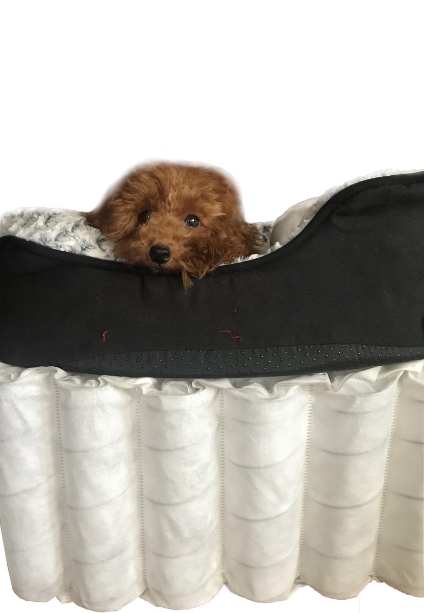 umit_makina's tweet image. They know what is comfortable the best.

#umitmakina #worldanimalday #pocketspring #pocketspringmachine #umitmattressmachinery #turkishmachinery