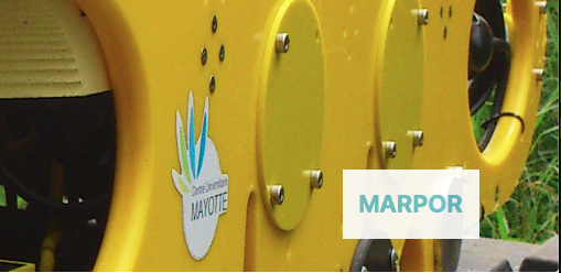 ReeFishNews's tweet photo. Our colleague Thomas in Mayotte (Indian Ocean) is proposing a master thesis (June-July 2020) on the vertical distribution of fish diversity using video surveys.

Do not hesitate to contact him at:  thomas.claverie@univ-mayotte.fr

Project MARPOR:
https://t.co/TmcoklcIyd https://t.co/8vFWylsfSc