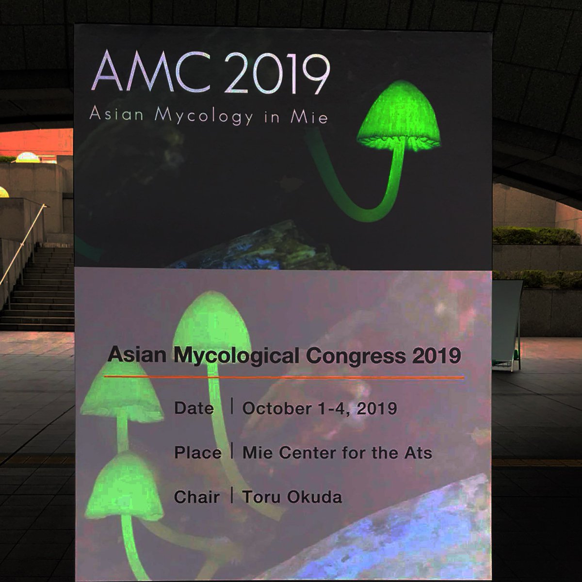 iwade_kinoko's tweet photo. アジア菌学会AMC2019本日で終了です。https://t.co/X5KMGhSRwR https://t.co/ZaU7a9oCjx