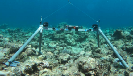 ReeFishNews's tweet photo. Our colleague Thomas in Mayotte (Indian Ocean) is proposing a master thesis (June-July 2020) on the vertical distribution of fish diversity using video surveys.

Do not hesitate to contact him at:  thomas.claverie@univ-mayotte.fr

Project MARPOR:
https://t.co/TmcoklcIyd https://t.co/8vFWylsfSc
