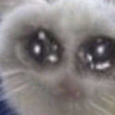 ✧༚nostalgic nightmare༚ ✧ (@twinkerbell666) on Twitter photo 