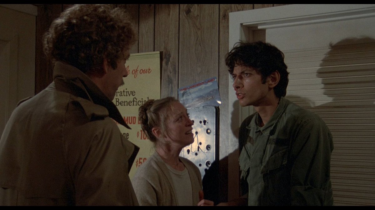 INVASION OF THE BODY SNATCHERS (1978) dir. Philip Kaufmansci-fi // Matthew begins noticing friends & co-workers complaining that loved ones are acting strange. he & friends soon realize that everyone around them is being replaced, & they must escape or suffer the same fate.