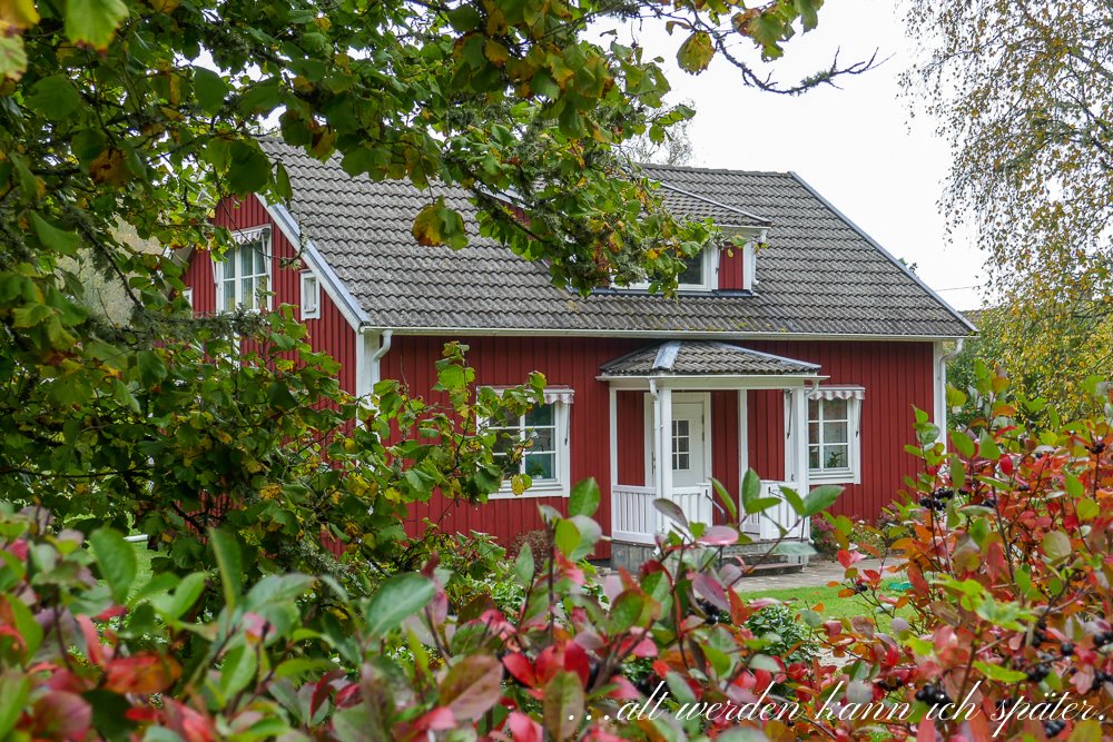 Regula_Blog's tweet image. Reisebericht von einem Tag auf einem schwedischen Landgut mit Kochen im Wald und Krebse fischen im See.
Mehr: altwerden-spaeter.blog/2019/10/02/ein…