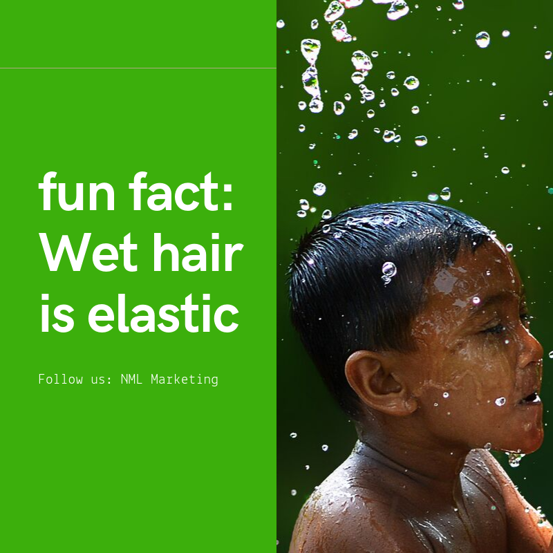 MarketingNml's tweet photo. Trivia for this week: Wet hair is elastic. 💇
Did you know? Wet hair can expand by up to 30% of its original length – so try to avoid brushing damp hair in order to prevent damage and breakage.
 https://t.co/WFfOxozAXB
#Hair
Visit us: https://t.co/AAy5dJkXF0 https://t.co/JJ1rxjCxgA