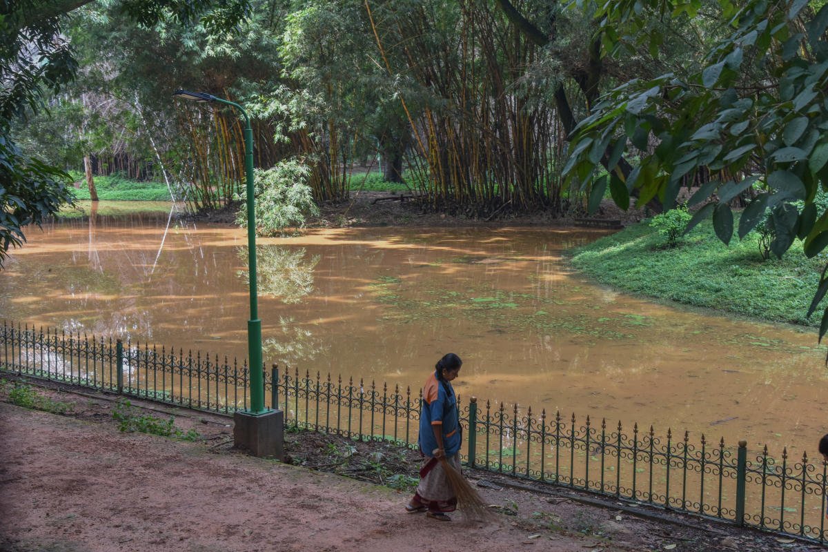 DeccanHerald's tweet photo. Heavy rain lashes #Bengaluru, waterlogging follows

Read more: https://t.co/nSGO8gdaV1

DH Photos by S K Dinesh. 

#BengaLuruRains https://t.co/NTO9SmtIqn
