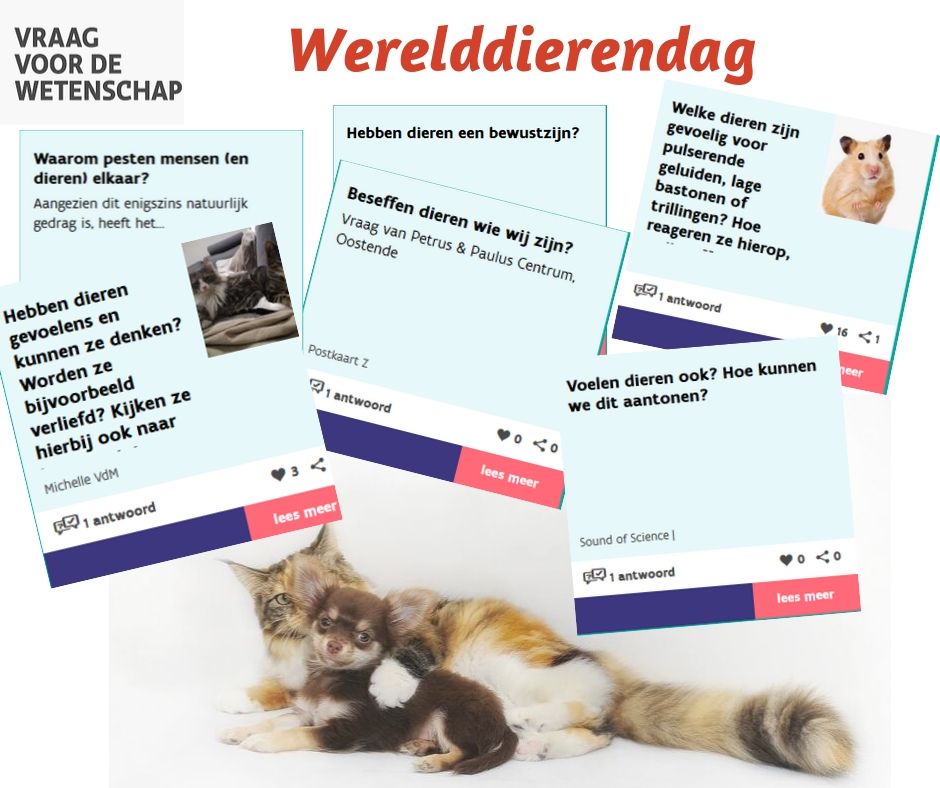 Werelddierendag 🐶🐰🐱🐔
Ondertussen werden er al meer dan 650 vragen beantwoord, waaronder ook 
jullie vragen over dieren. Ben jij ook benieuwd naar de antwoorden? Klik
 dan snel verder via deze link 👉vraagvoordewetenschap.be/p/thema_zoek?c… 👈