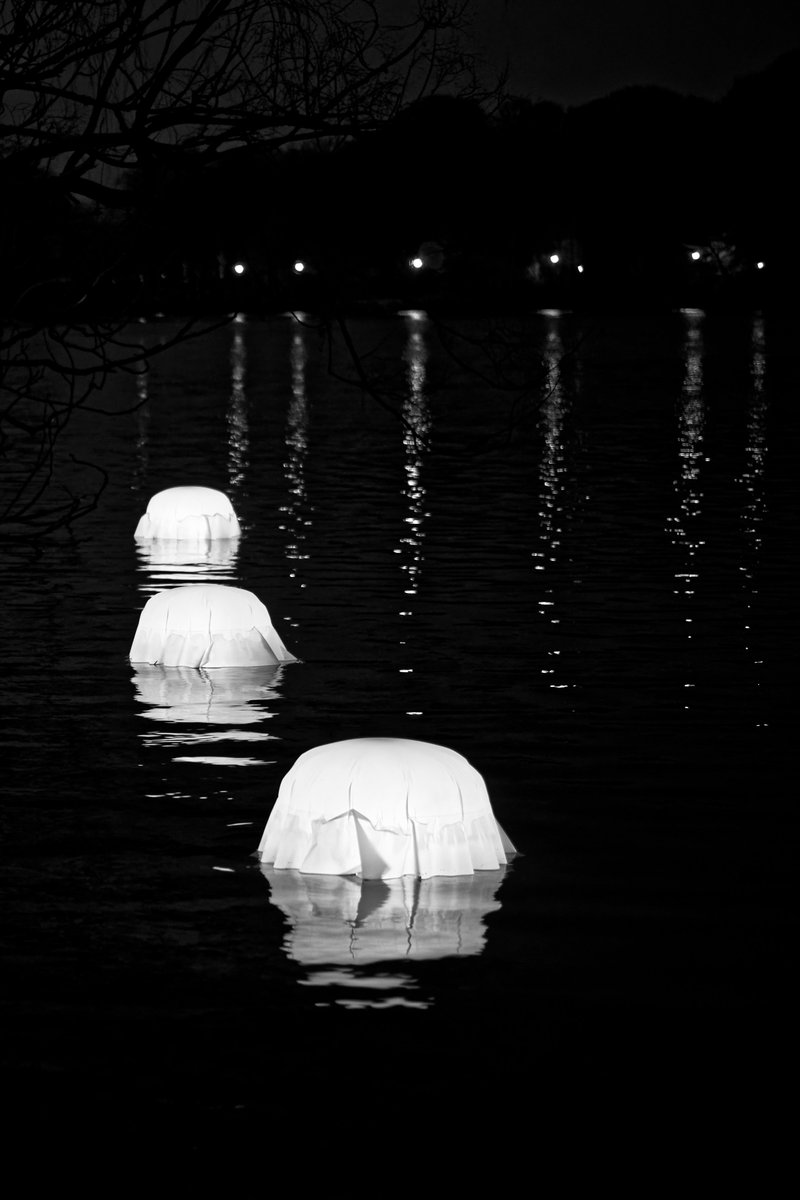 juco_photo's tweet photo. 1-Le Parc de la Tête d'or.
Exercice auto-imposé : La fête des lumières de Lyon en monochrome. 
.
#picoftheday #photooftheday #monochrome #monochromatic #blacknwhite #blackandwhite #blackandwhitephotography #water #light #lights #reflection #reflective #lyon #fetedeslumieres https://t.co/hWm8buP4mH