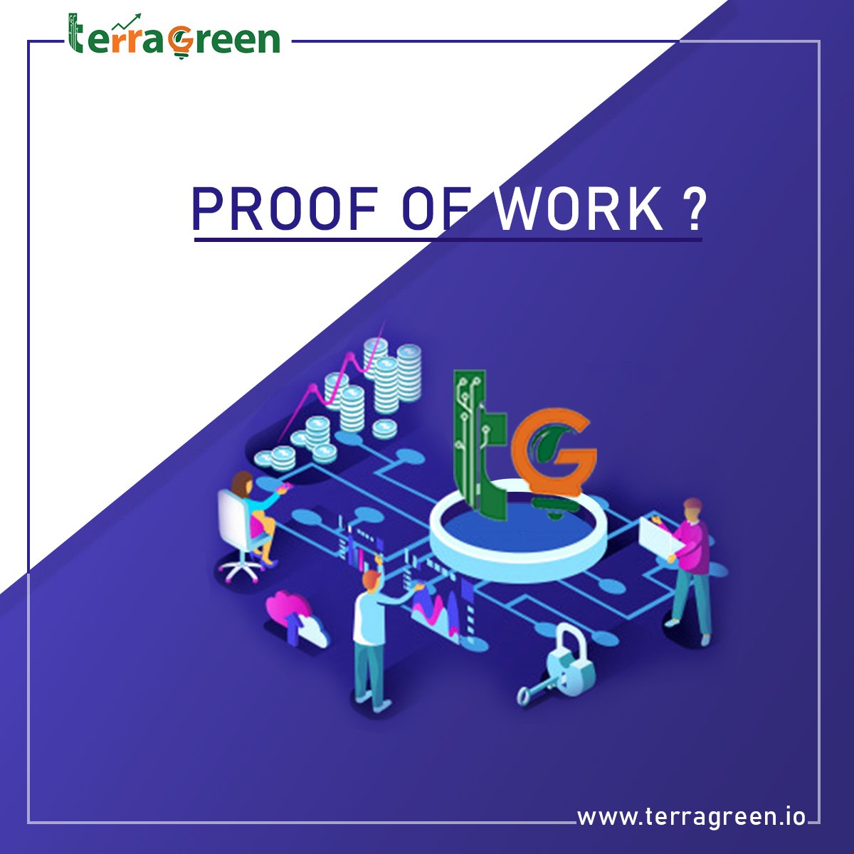 TerraGreen Coin tweet media