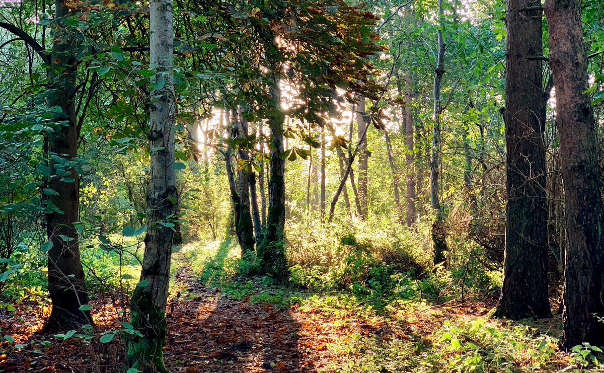 The <a href="/OakbankGame/">Oakbank Game</a> Stewardship &amp; Woodlands news for October is now available - oakbankgc.co.uk/about-us/compa…. Lots of timely reminders and updates!