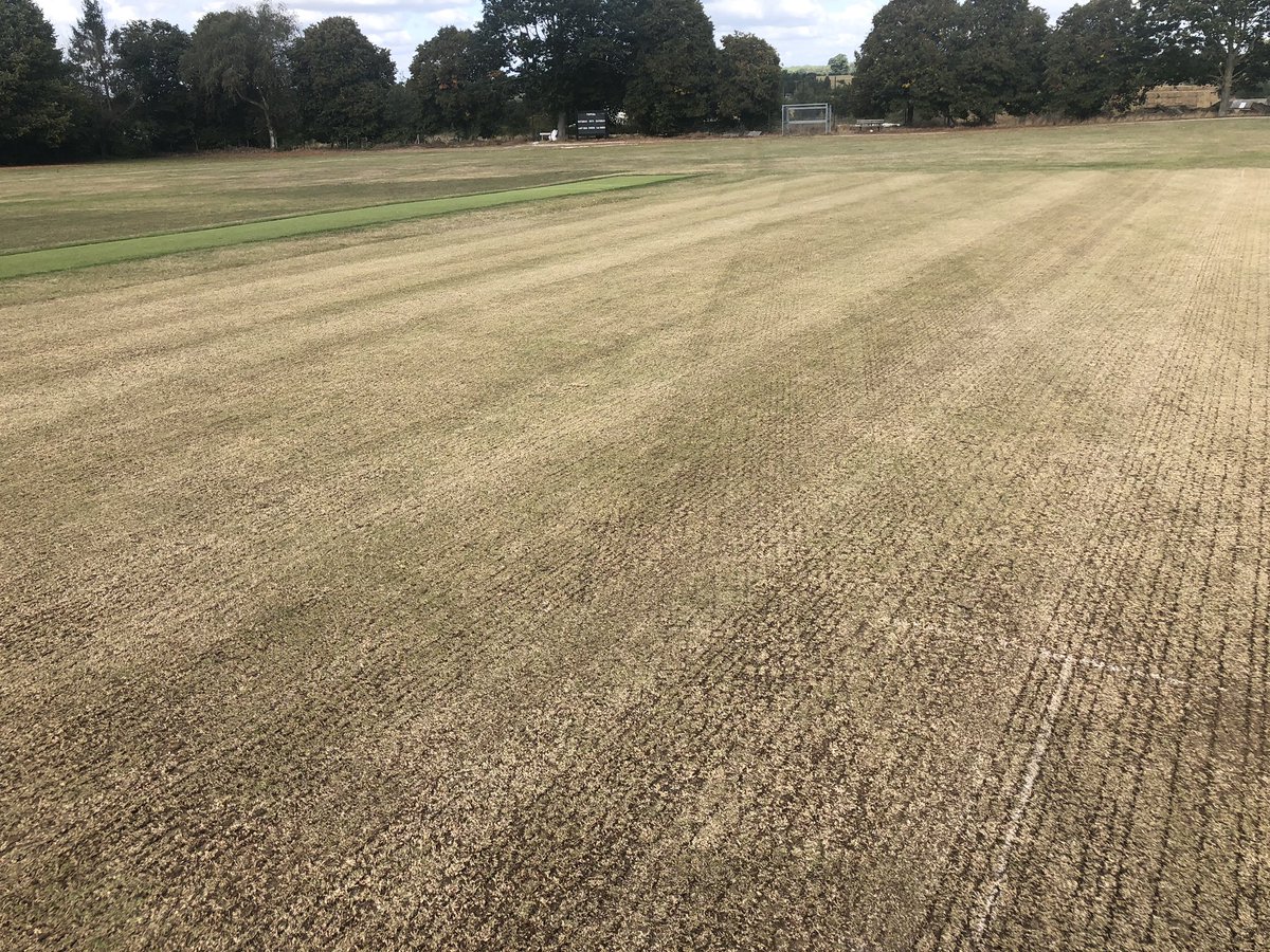 Mr Groundsman tweet media