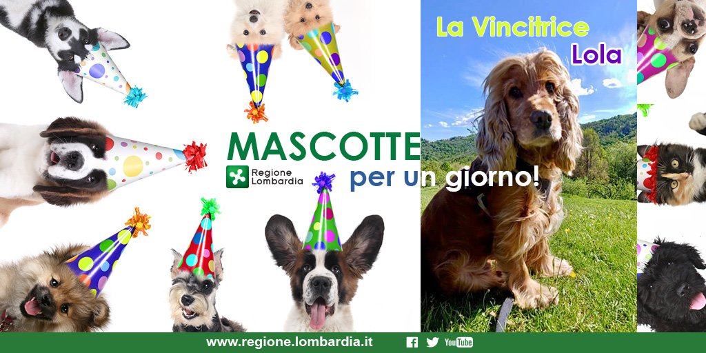 RegLombardia's tweet photo. #WorldAnimalDay #PetsInTheWorld
Grazie a tutti i partecipanti alla social call "Mascotte per un giorno" e a tutti gli animali da compagnia che si sono messi in posa. In occasione della giornata mondiale degli animali, ecco la foto vincitrice!
Clicca quiπ https://t.co/JkcIfczPuT https://t.co/LZZEZN9GPw