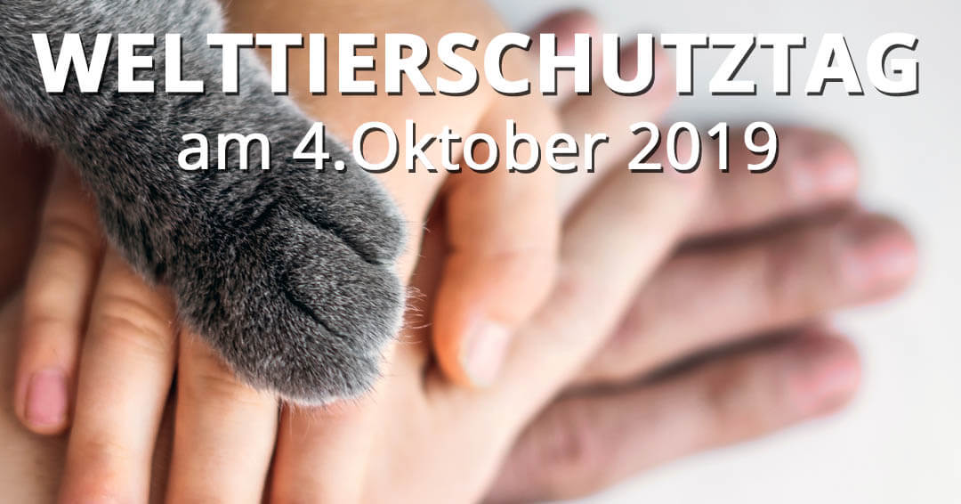 leckerchen24's tweet photo. Das Leitmotto zum Welttierschutztag 2019 „Lieblingstier - Tierheimtier“.

Die Übernahme eines Tierheimtiers bedeutet nicht nur, einem Tier in Not zu helfen, sondern vor allem auch, einen einzigartigen Freund zu finden.
#welttierschutztag #leckerchen24 #hundeliebe #katzenliebe https://t.co/1LSv60AjM1