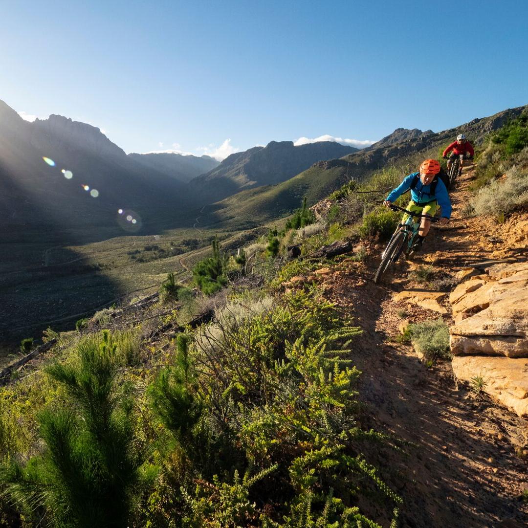 capevelo's tweet photo. Friday is here which means it's time to get on your bike! 
Where are you heading? 
https://t.co/727b41EXux https://t.co/w9NwnU8w0q