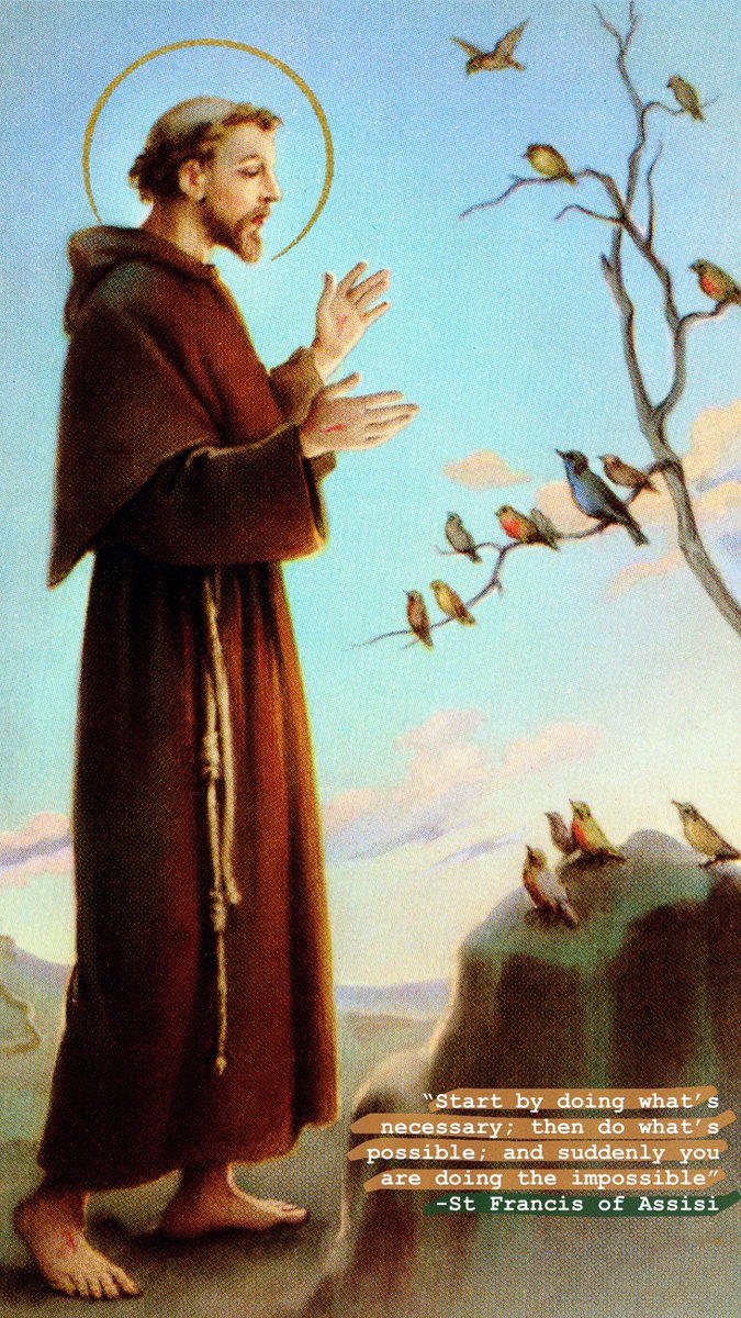 Today is the feast day of St Francis of Assisi. St Francis, pray for us! #FeastDay