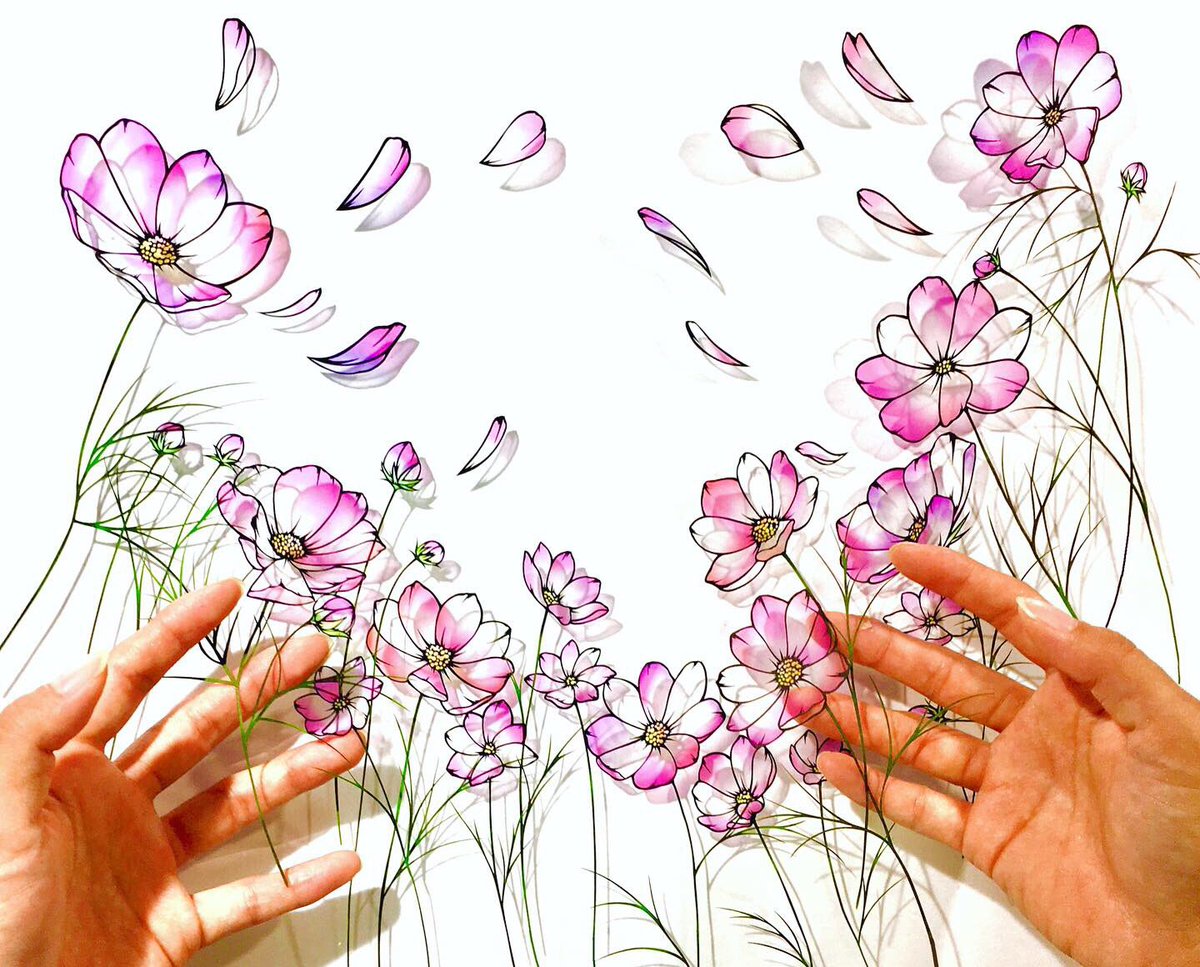 切り絵作家jun 題 天空への憧れ コスモスの花言葉 調和 背を伸ばし空と一体感を求める様からこの花言葉が付いたかのような解釈で仕上げしました コスモスと空がひとつになった時 コスモスの花びらは空の色と合わさり紫色になる様を色彩によって表してい