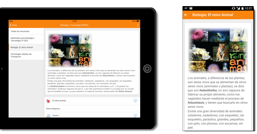 Recuerda que puedes acceder a tu Aula Virtual desde cualquier dispositivo móvil.
educa.madrid.org/dispositivo