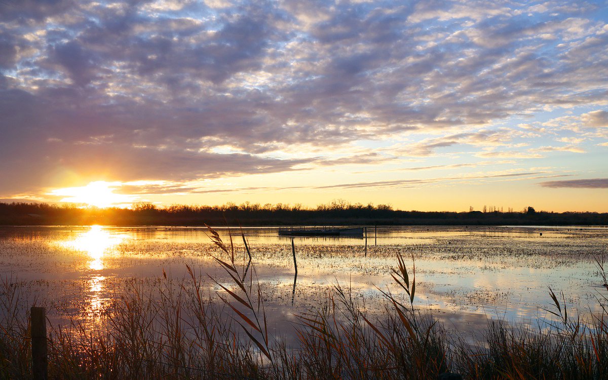 ECOPOTENTIAL (@ecopotentialprj) on Twitter photo How do you find water in a #wetland? ECOPOTENTIALISTS from <a href="/TourduValat/">Tour du valat</a> have developed a new method to map flooded areas in wetlands more precisely using #Landsat and #Sentinel2 data. Check out their paper:
➡mdpi.com/2072-4292/11/1…
#EarthObservation
📷: pixabay.com How do you find water in a #wetland? ECOPOTENTIALISTS from <a href="/TourduValat/">Tour du valat</a> have developed a new method to map flooded areas in wetlands more precisely using #Landsat and #Sentinel2 data. Check out their paper:
➡mdpi.com/2072-4292/11/1…
#EarthObservation
📷: pixabay.com