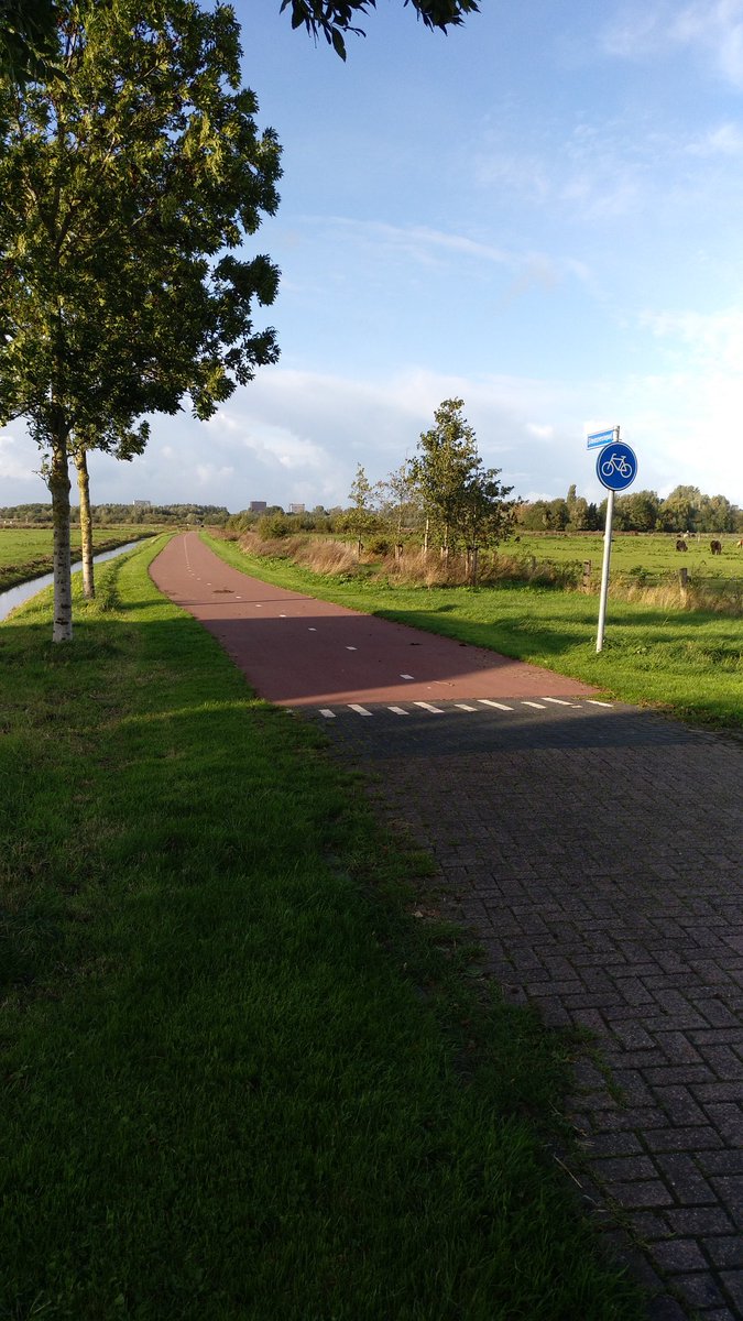 peterries_de's tweet photo. Deutschland so: #radschnellweg, #radwegausbau, wo sollen die Autos hin? Kein Geld, braucht man nicht. #mimimi...
Holland so: https://t.co/CYHWlqyk87