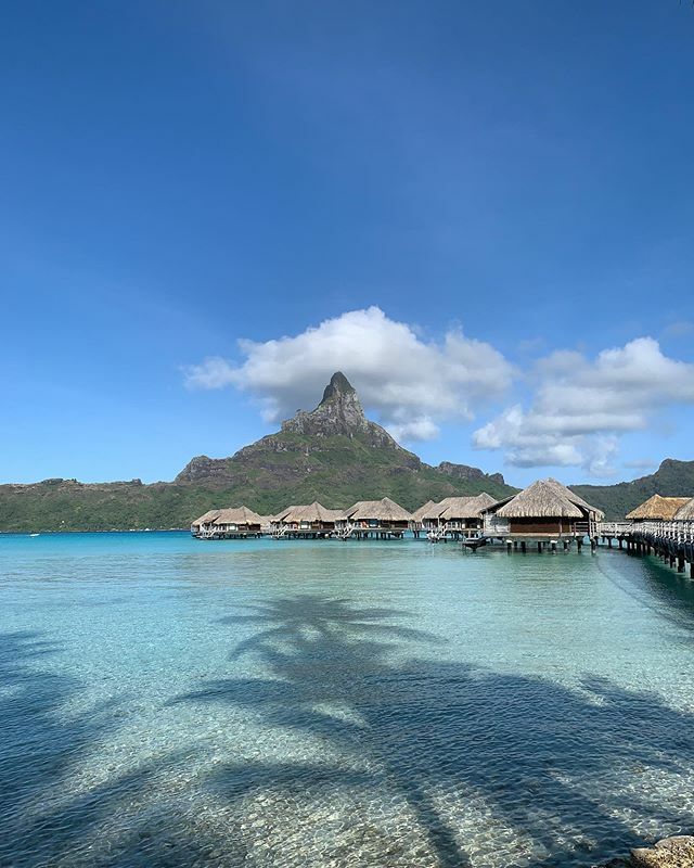 trickyech's tweet photo. Love this place. #tahiti #borabora #paradise #islandlife #otemanu #overwaterbungalow #owb https://t.co/NTdLKOwsQ3 https://t.co/8tP8fSBfkP