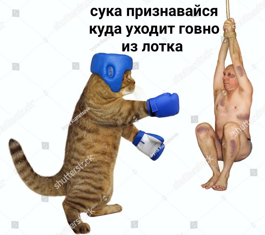 EGBETKjXkAE1ysS?format=jpg&name=medium