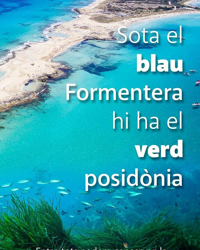 #SavePosidoniaForum2019 #Formentera Apadrina a ift.tt/2wrRHB8 #Posidonia #MediAmbient #reutilitzacio #reciclatge #conservacio #cuidemelplaneta🌍♻️ ift.tt/2oLaVUl
