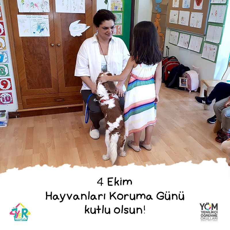 4 Ekim 'Dünya Hayvanları Koruma Günü' kutlu olsun!

#HayvanlarıKorumaGünü #YÖM #YÖMOkulları #YenilikçiÖğrenmeOkulları #1Yer #1YerOkulları #1YerAnaokulu #KüçükÇamlıca #BirYerOkulları #OkulÖncesi #OkulSeçimi #ÖzelOkul #Ataşehir #Göztepe #Anaokulu #İlkokul #Ortaokul #KayhanKarlı