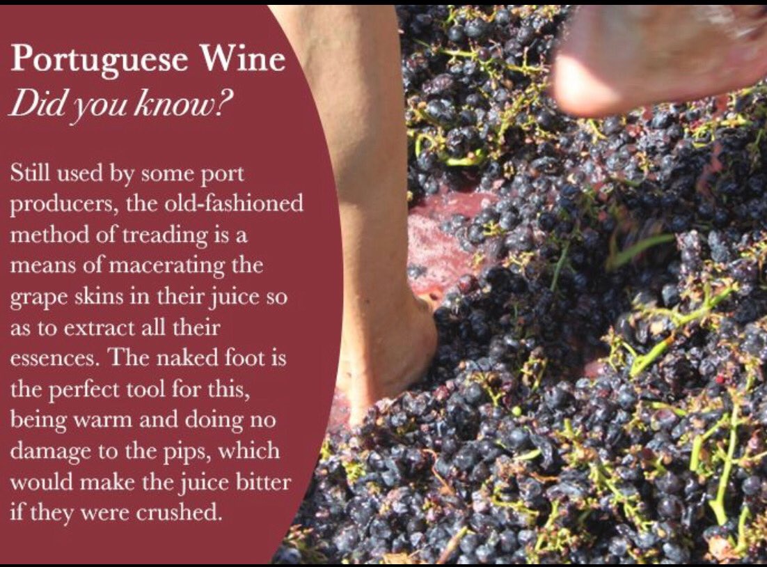 RandMwines's tweet photo. #portuguesewines #harvesting #hospitality #hotels #restaurants #bars #clubs https://t.co/oY3XA1H28c