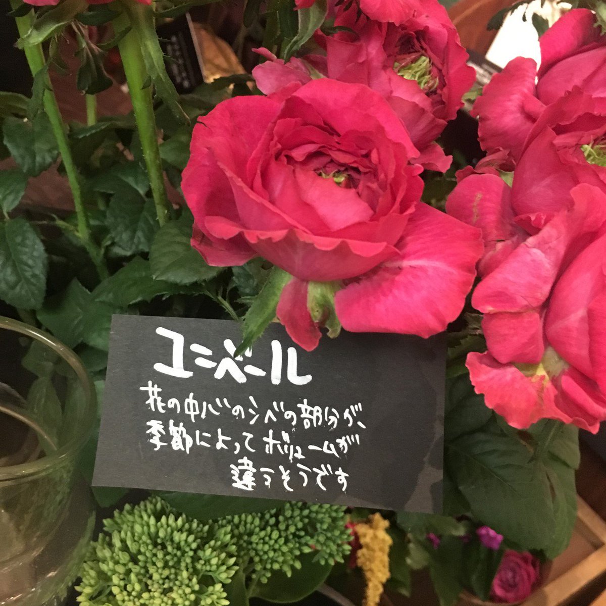 青山フラワーマーケット 先日ツイートした やぎばら園さんの バラ ですが 品種名がわかるように写真アップしておきますね ๑ ڡ ๑
