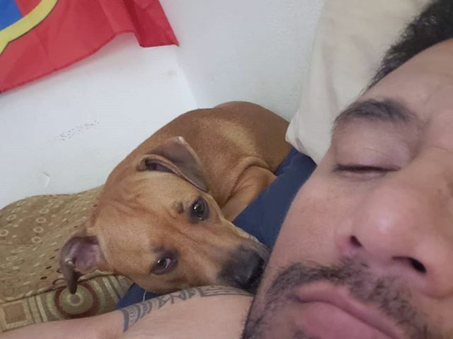 James_Mane's tweet photo. What I see when I wake up. I think he's planning to kill me in my sleep. I imagine him with Stewie Griffin's voice and I'm Lois. #dog #dogsofinstagram #DogsOfIg #Puppy #pets #Animals #BlackMouthCurMix #HowToMakeAMurderer #PetCemetary https://t.co/s3GkfKS4XT https://t.co/IjW53yEiBM