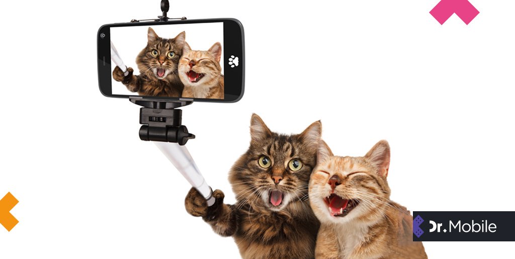 Het is Dierendag vandaag! Tijd om je huisdier nog net iets meer te verwennen!