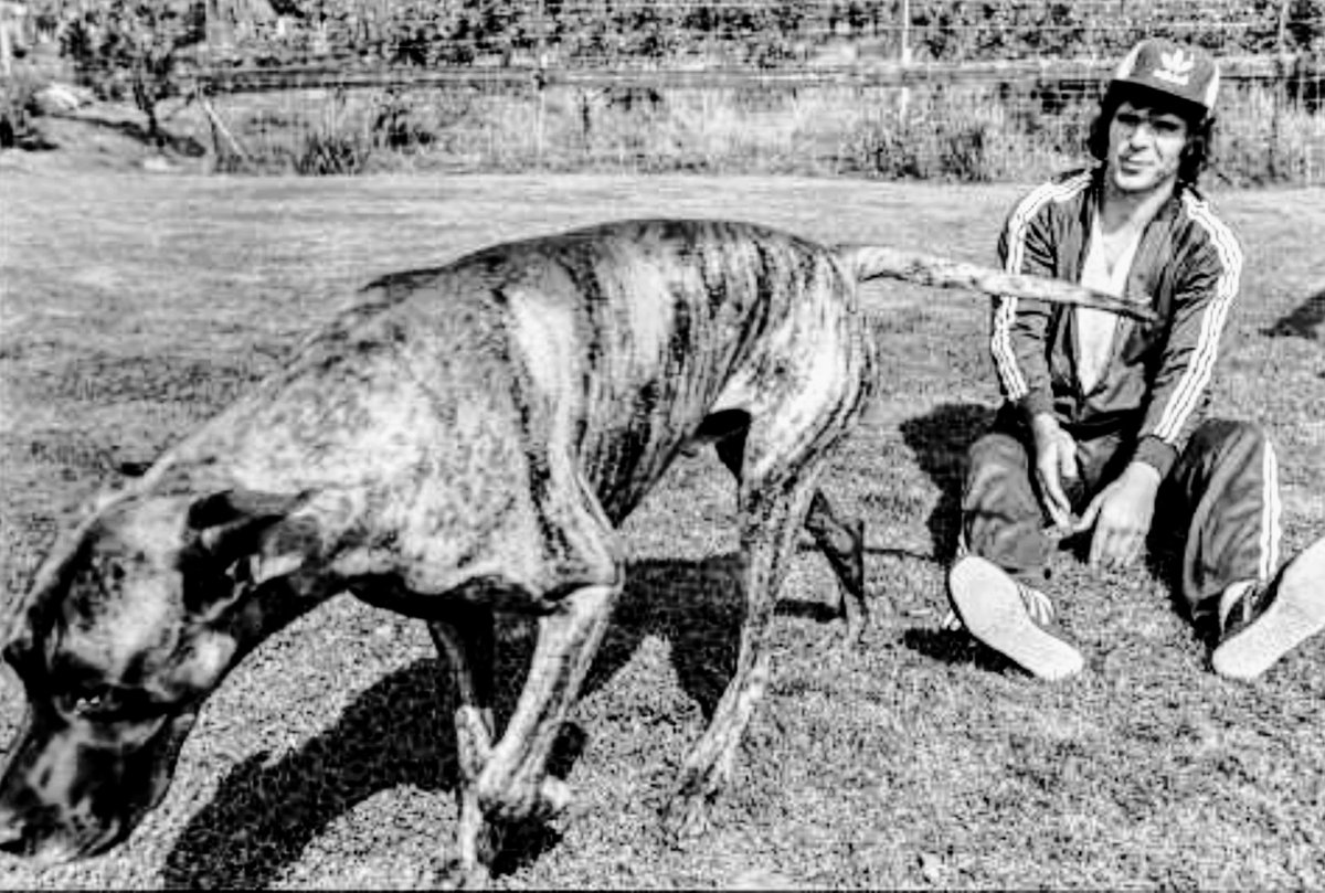 Dierendag (1979) #WorldAnimalDay #WillemvanHanegem #DeKromme #dierendag #Feyenoord #Chicagosting